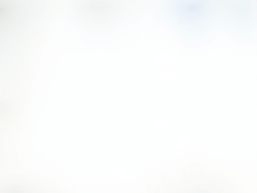 BleachBit user interface